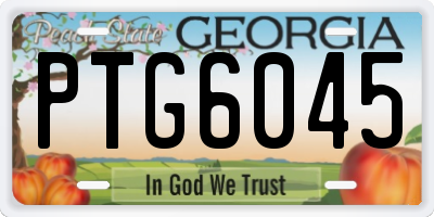 GA license plate PTG6045