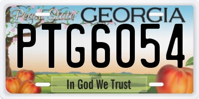 GA license plate PTG6054