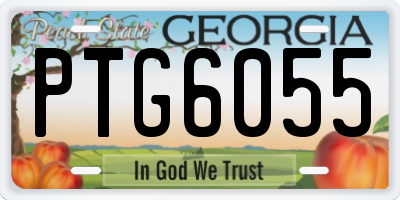 GA license plate PTG6055
