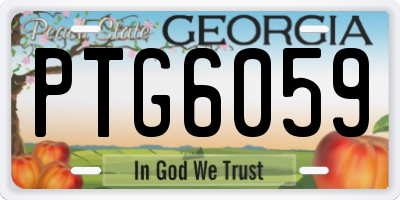 GA license plate PTG6059