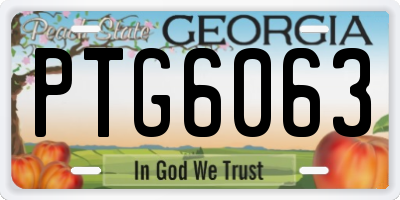 GA license plate PTG6063
