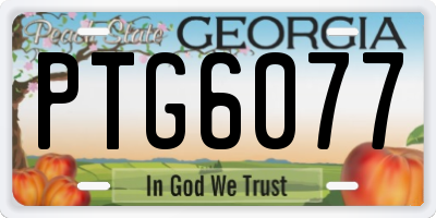 GA license plate PTG6077