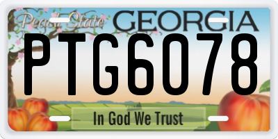 GA license plate PTG6078