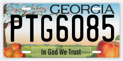 GA license plate PTG6085