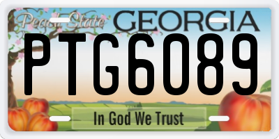 GA license plate PTG6089