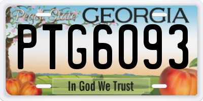 GA license plate PTG6093