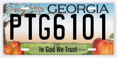 GA license plate PTG6101