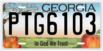 GA license plate PTG6103