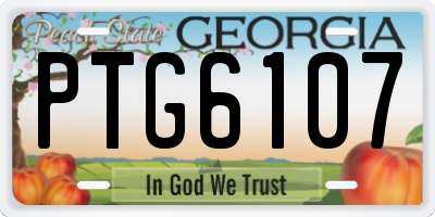 GA license plate PTG6107
