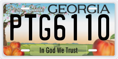 GA license plate PTG6110