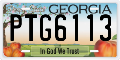 GA license plate PTG6113