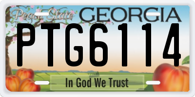 GA license plate PTG6114