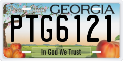 GA license plate PTG6121