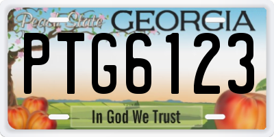 GA license plate PTG6123