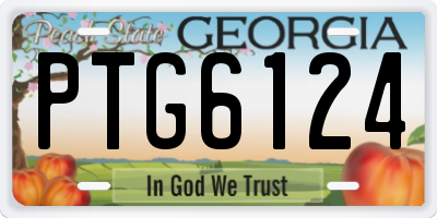 GA license plate PTG6124