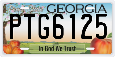 GA license plate PTG6125