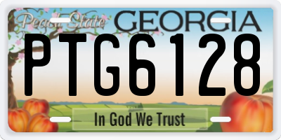 GA license plate PTG6128