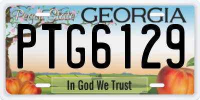 GA license plate PTG6129