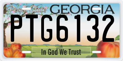 GA license plate PTG6132