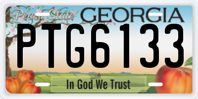 GA license plate PTG6133