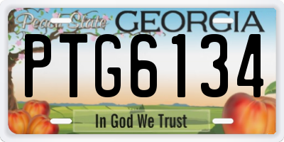 GA license plate PTG6134