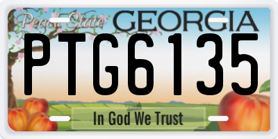 GA license plate PTG6135