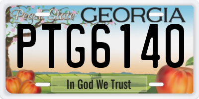 GA license plate PTG6140