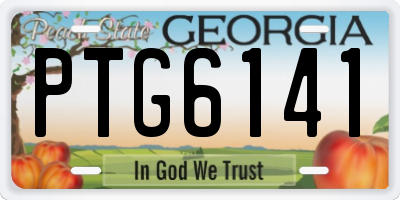 GA license plate PTG6141