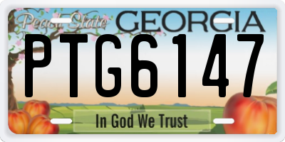 GA license plate PTG6147