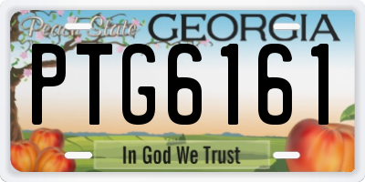 GA license plate PTG6161