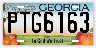 GA license plate PTG6163