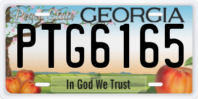 GA license plate PTG6165