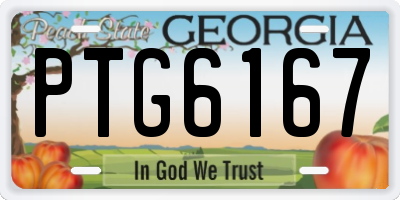 GA license plate PTG6167