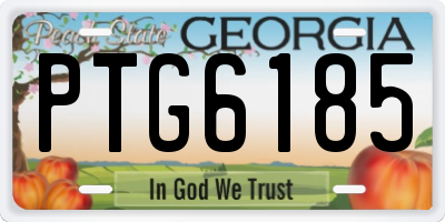 GA license plate PTG6185