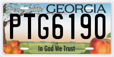 GA license plate PTG6190