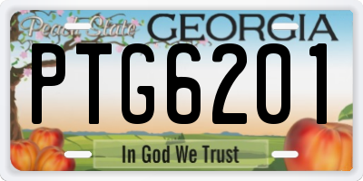 GA license plate PTG6201