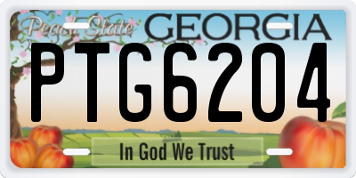 GA license plate PTG6204