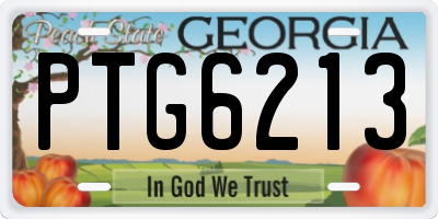 GA license plate PTG6213