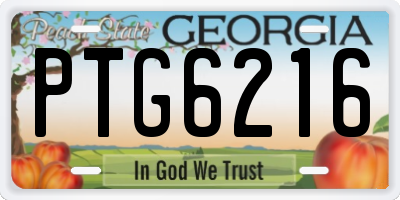 GA license plate PTG6216