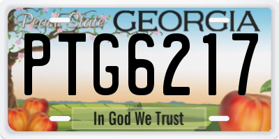 GA license plate PTG6217