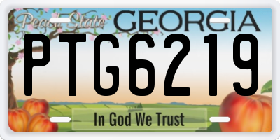 GA license plate PTG6219