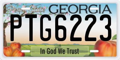 GA license plate PTG6223