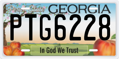 GA license plate PTG6228
