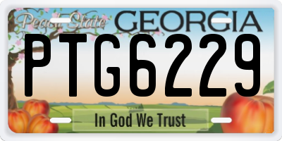 GA license plate PTG6229