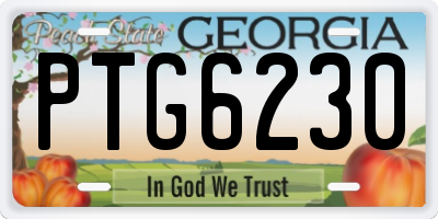 GA license plate PTG6230