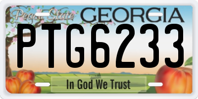 GA license plate PTG6233