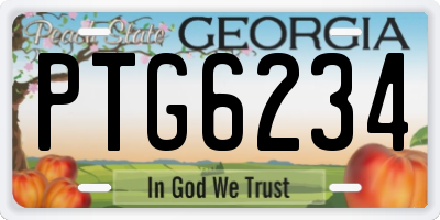 GA license plate PTG6234