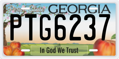 GA license plate PTG6237