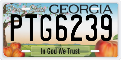 GA license plate PTG6239