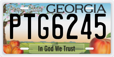 GA license plate PTG6245